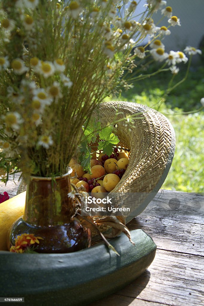 Été Nature morte - Photo de Abricot libre de droits