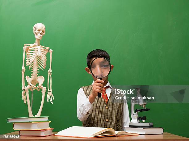 Rapaz Olhando Para O Esqueleto Humano E Pensar - Fotografias de stock e mais imagens de 6-7 Anos - 6-7 Anos, Aluno, Aluno da Escola Primária