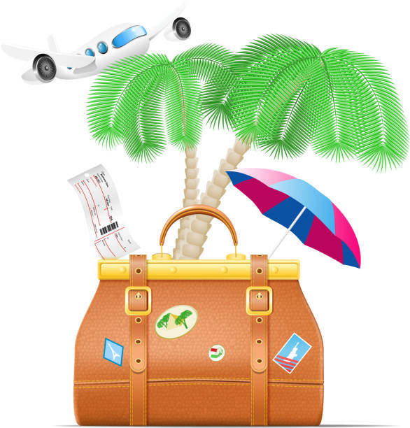 illustrations, cliparts, dessins animés et icônes de vecteur série de voyage. sac de voyage, de nature, des palmiers et des parasols. - tropical climate airplane island hawaii islands