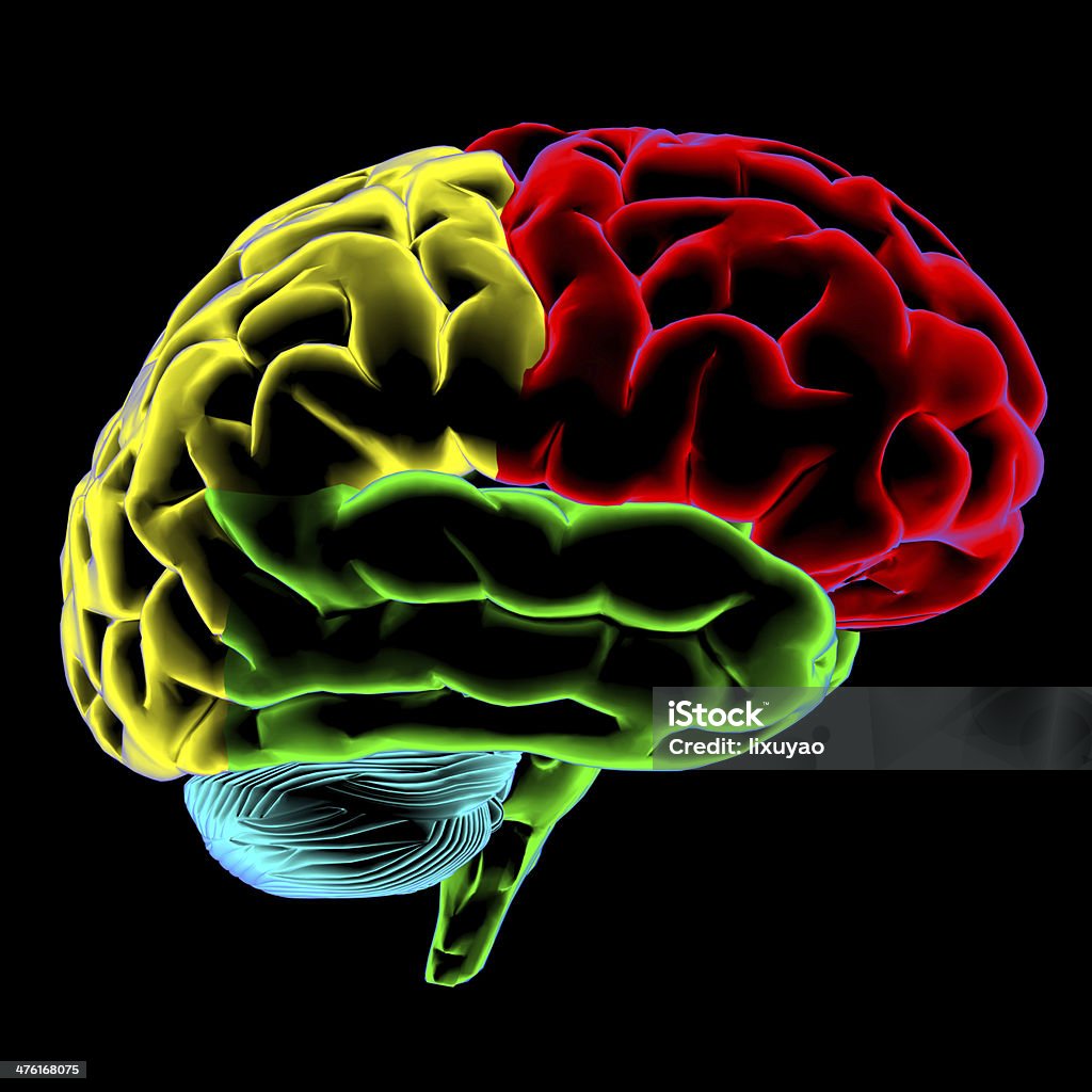 色は人の脳スキャン - ヒトの脳のロイヤリティフリーストックフォト