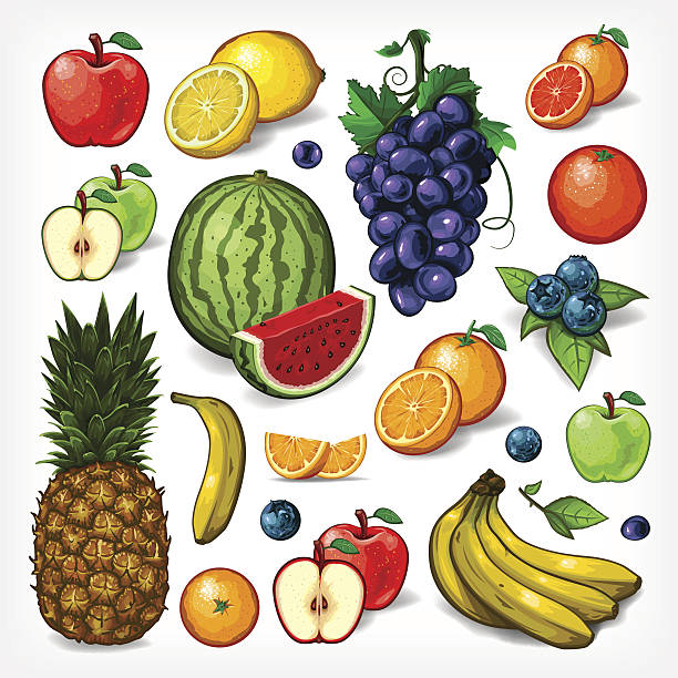 ilustrações de stock, clip art, desenhos animados e ícones de conjunto de vetor fruta completo - red delicious apple apple red isolated