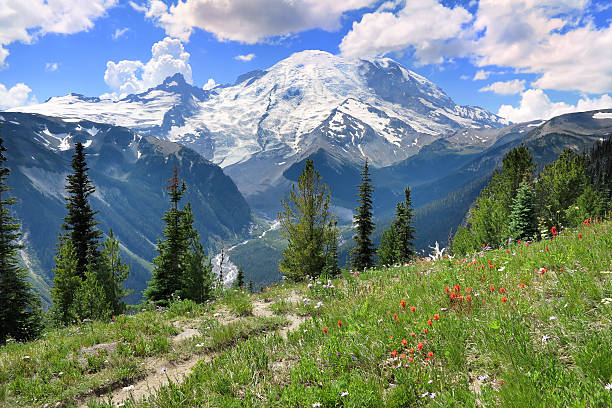 istock Mt Rainier national park Sunrise area 476172453