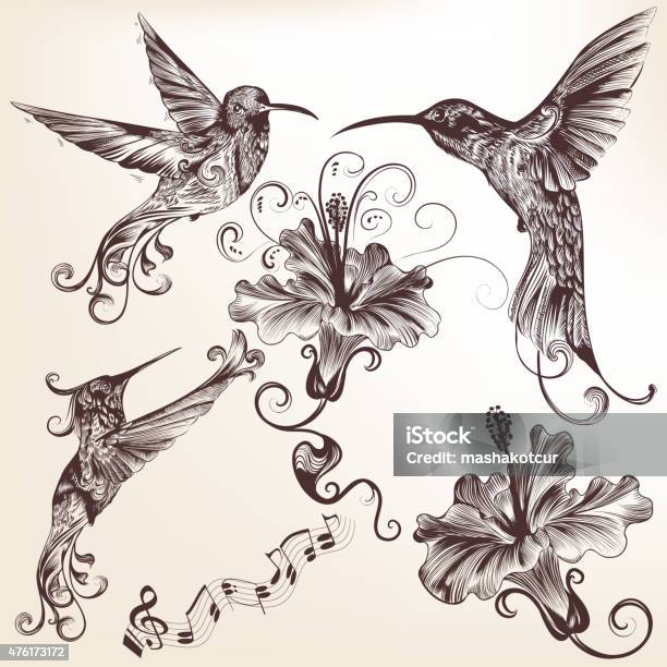 Collection Of Vector Hand Drawn Hummingbirds For Design Stock Illustration - Download Image Now