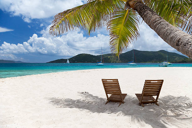 istock two chairs under a palm tree at the Caribbean beach 476175861