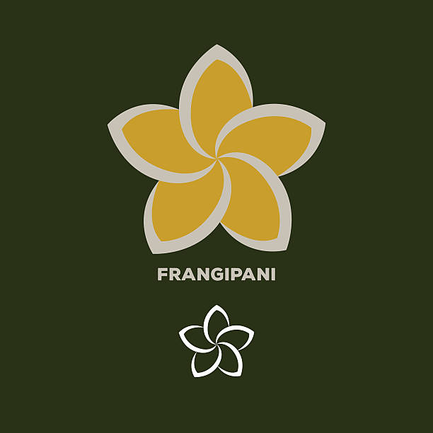 illustrazioni stock, clip art, cartoni animati e icone di tendenza di vector logo fiore di frangipani - frangipanni