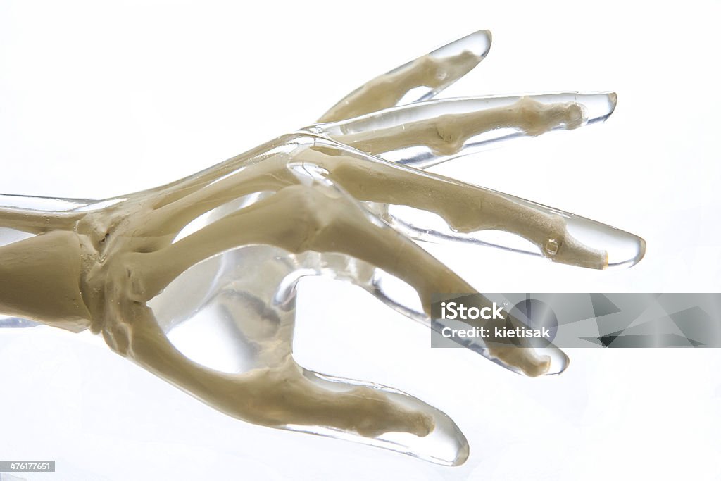 X-Ray Phantom mano - Foto stock royalty-free di Apparecchiatura medica