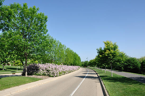 istock Street With Landscaped Median 476178693