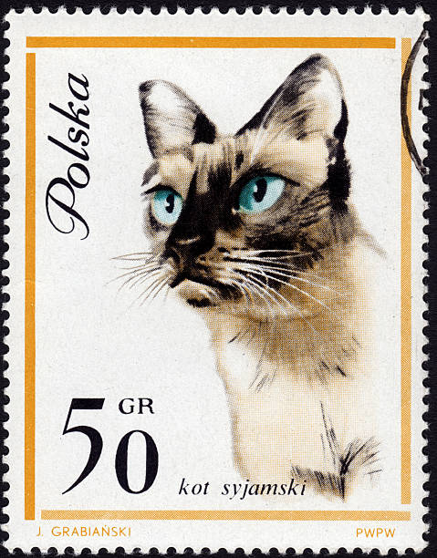 istock Polish postage stamp showing a Oriental cat 476178969