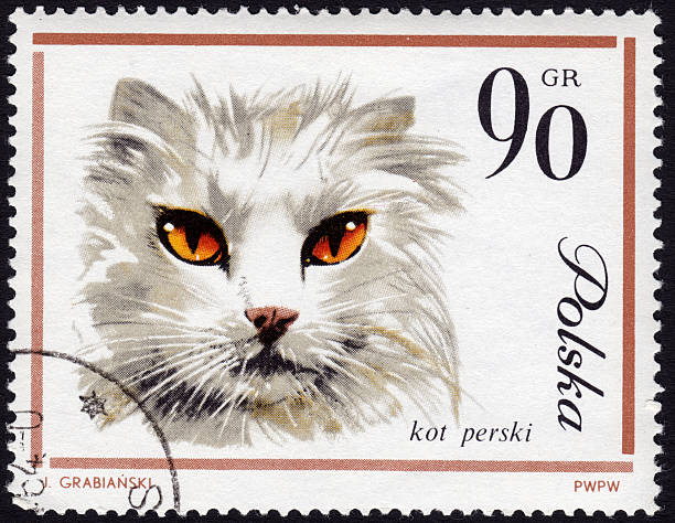 istock Polish postage stamp showing a Persian cat 476178977