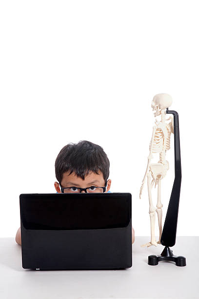 Asian kid with laptop learns human anatomy isolated on white