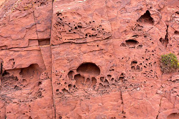 Red rock holes detail texture in Menorca Balearics Red rock holes detail texture in Menorca Balearic islands balearics stock pictures, royalty-free photos & images