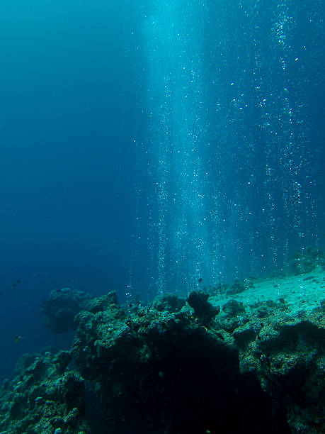 istock Bubbles coming out of reef 476184160