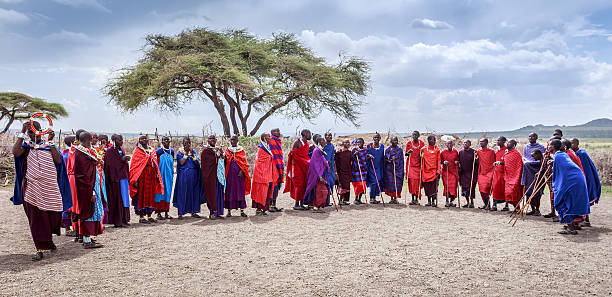 masai willkommen tanz - masai africa dancing african culture stock-fotos und bilder
