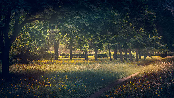 istock Morning in city park. 476191098