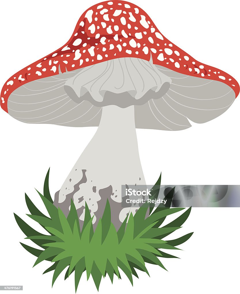 amanita. amanita - A fungus that grows in the forest. Beauty stock vector