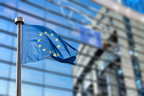 European Union flag against European Parliament European Union flags in front of the blurred European Parliament in Brussels, Belgium european union flag photos stock pictures, royalty-free photos & images