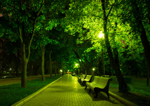 Night Park Wood Benches and Alley at summer