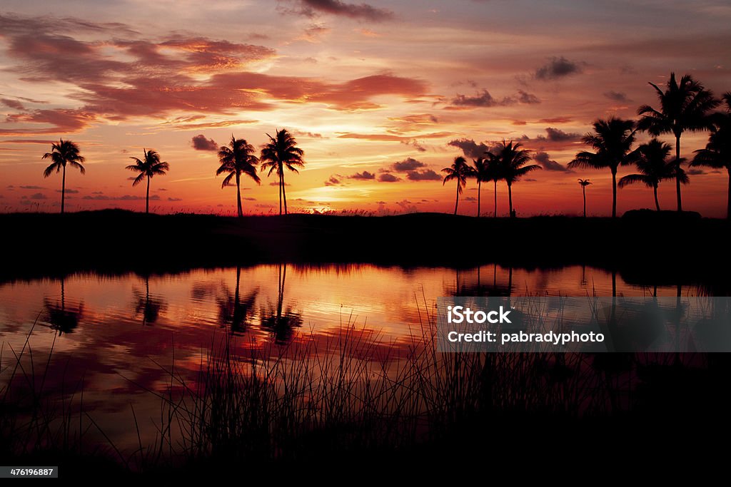 Tropical Sunset Fiery tropical sunset with palm trees reflecting on the water. Beach Stock Photo