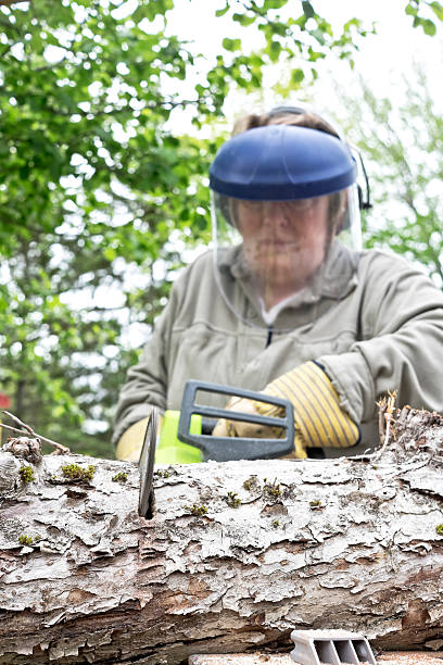 istock Senior woman Chainsaw cutting firewood. 476196974