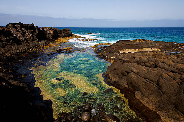 istock froth coastline in lanzarote spain 476198625