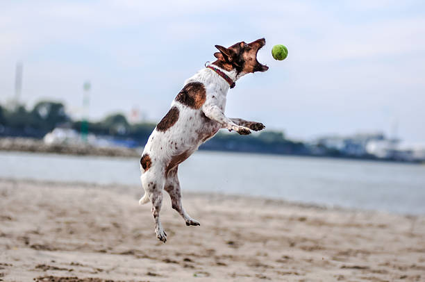 istock Catch me if you can - Part 2 476198860