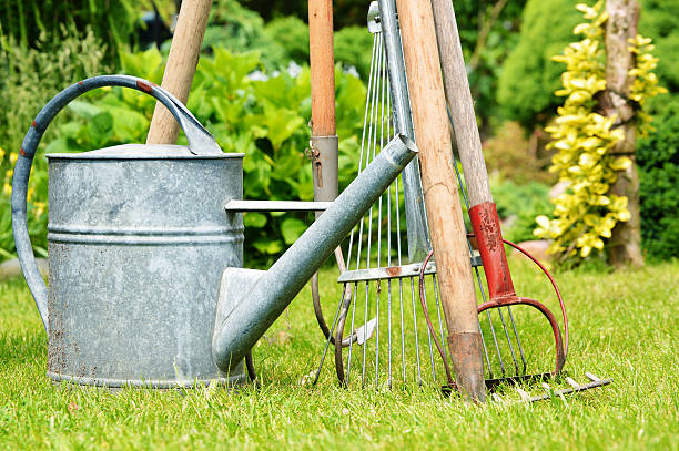 istock Watering can and tools in the garden 476200261