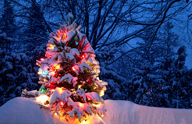 istock Christmas Tree At Dusk With Freshly Fallen Snow. 476201439