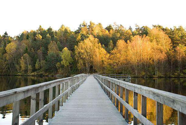ruta de un lago en otoño - reclusion fotografías e imágenes de stock
