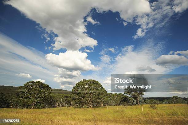 Paisagem Rural Típica Na Austrália Com Belas Nuvens - Fotografias de stock e mais imagens de Agricultura