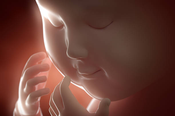 istock 3d 4d ultrasound scan fetus pregnancy concept 476202430