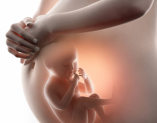 istock Pregnancy concept with baby 476202444