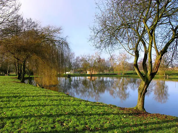 Pond in winter at Conlie in France, department of the Sarthe