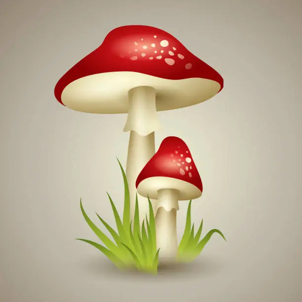 Vector illustration of Illustration of Mushroom