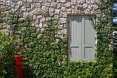stone-fassade-wand-mit-fenster-und-pflan