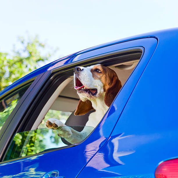 istock travel in the blue car 476206865