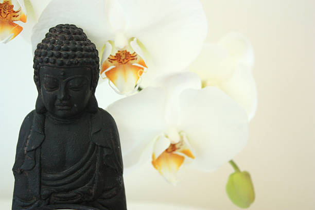 istock Buddha in front of white orchids 476208295