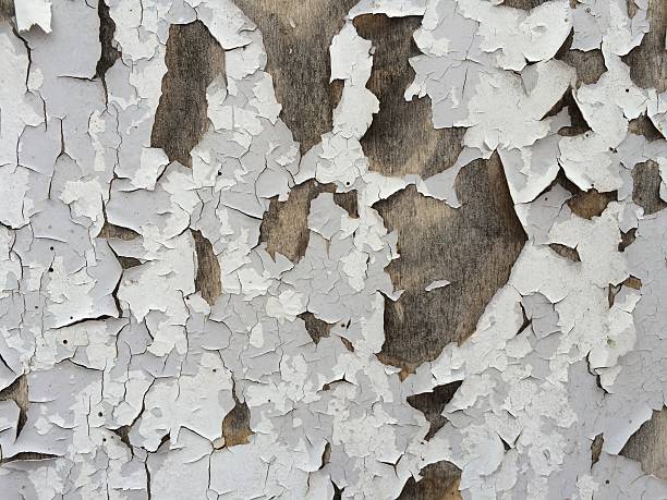 Old wooden fence background