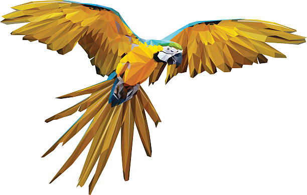 低ポリフラ�イングマコーベクター - gold and blue macaw点のイラスト素材／クリップアート素材／マンガ素材／アイコン素材