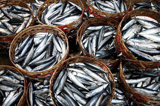 istock mackerel in rattan baskets in Bali 476209713