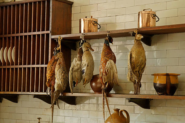 pheasants colgar en una antigua cocina - pheasant hunting feather game shooting fotografías e imágenes de stock