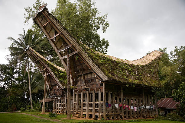 istock Tana Toraja Pino village 476211661