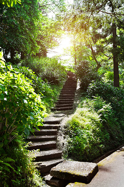 istock Stone stairs in park 476212487
