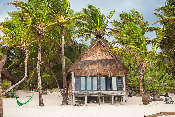 istock Tropical beach house on ocean shore among palm trees 476213041