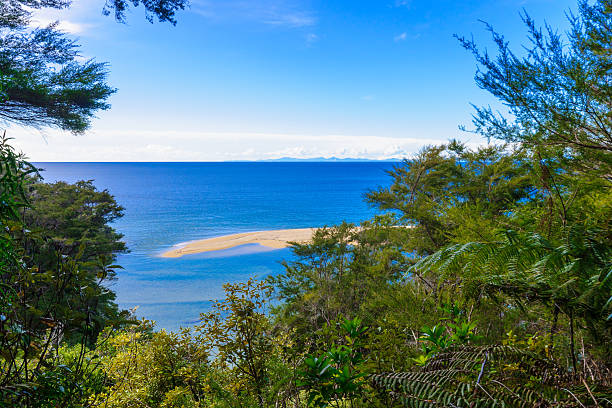 istock Abel Tasman National Park 476213814