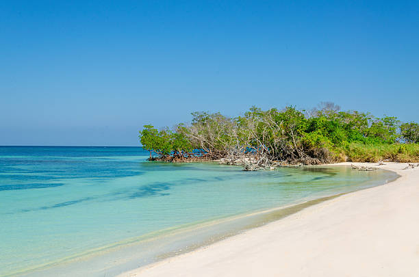 istock Exotic beach with gold sand, Caribbean Islands 476213992
