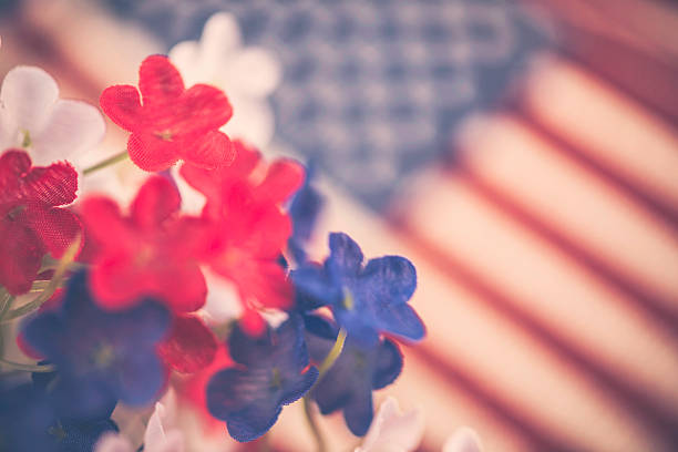 July 4th Background. Patriotic flowers with American flag. Independence Day. July 4th Background. Patriotic flowers with American flag. Independence Day. american flag flowers stock pictures, royalty-free photos & images