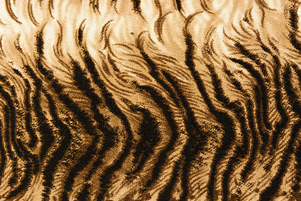 istock texture of print fabric striped leopard for background 476217632