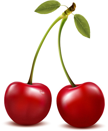 Two red cherry berries with leaf. Vector. EPS 10