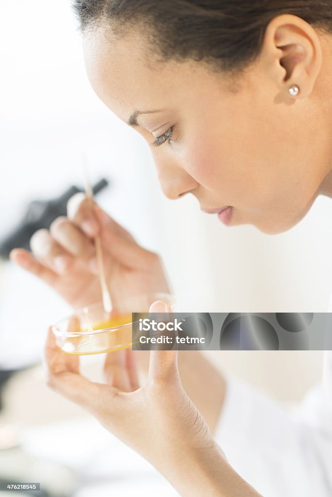 Scientist Analyzing Solution In Petri Dish At Laboratory Side view close-up of female scientist analyzing solution in petri dish at laboratory 25-29 Years Stock Photo