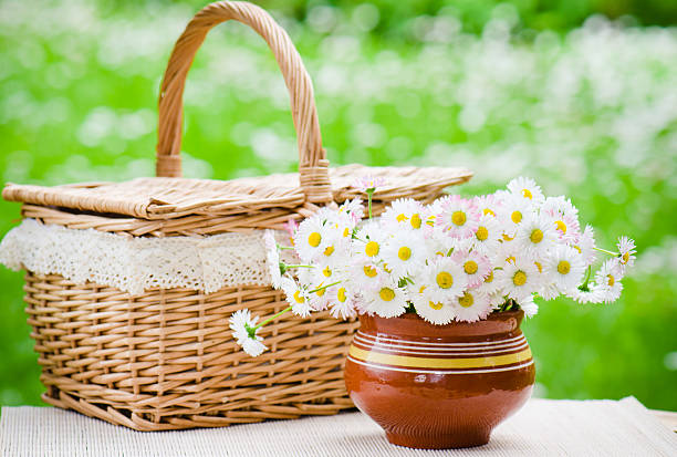 istock bouquet of daisies in a pot 476219621